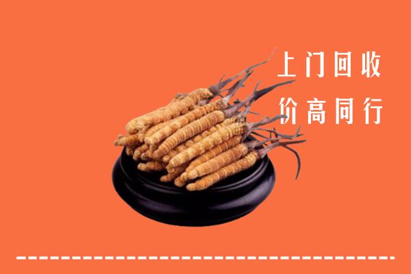 高价求购：衡阳市回收散虫草