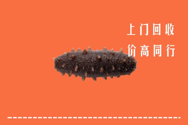 衡阳市回收海参