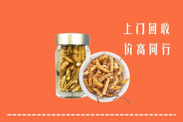 衡阳市回收冬虫夏草